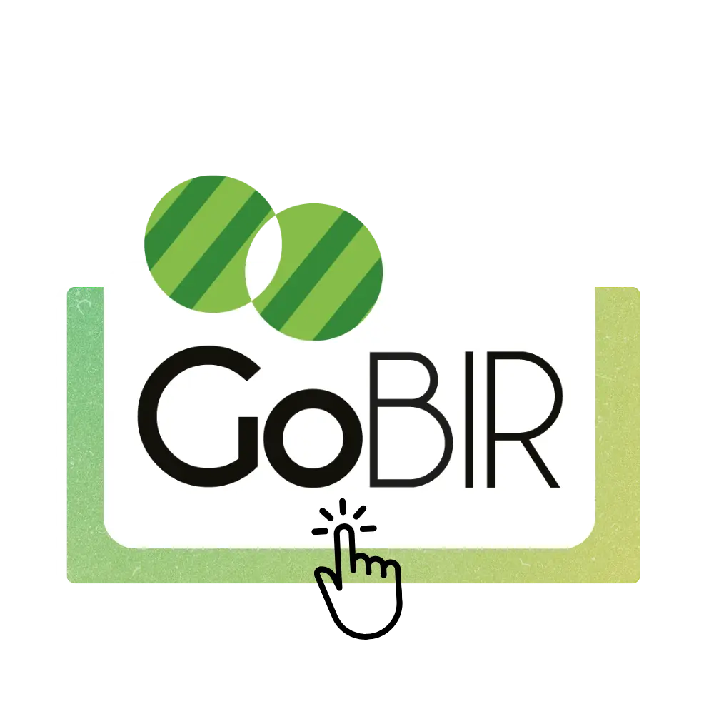BIR - Academia GoBIR
