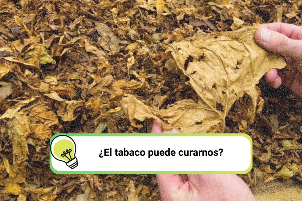 Tabaco para curarnos y no enfermarnos