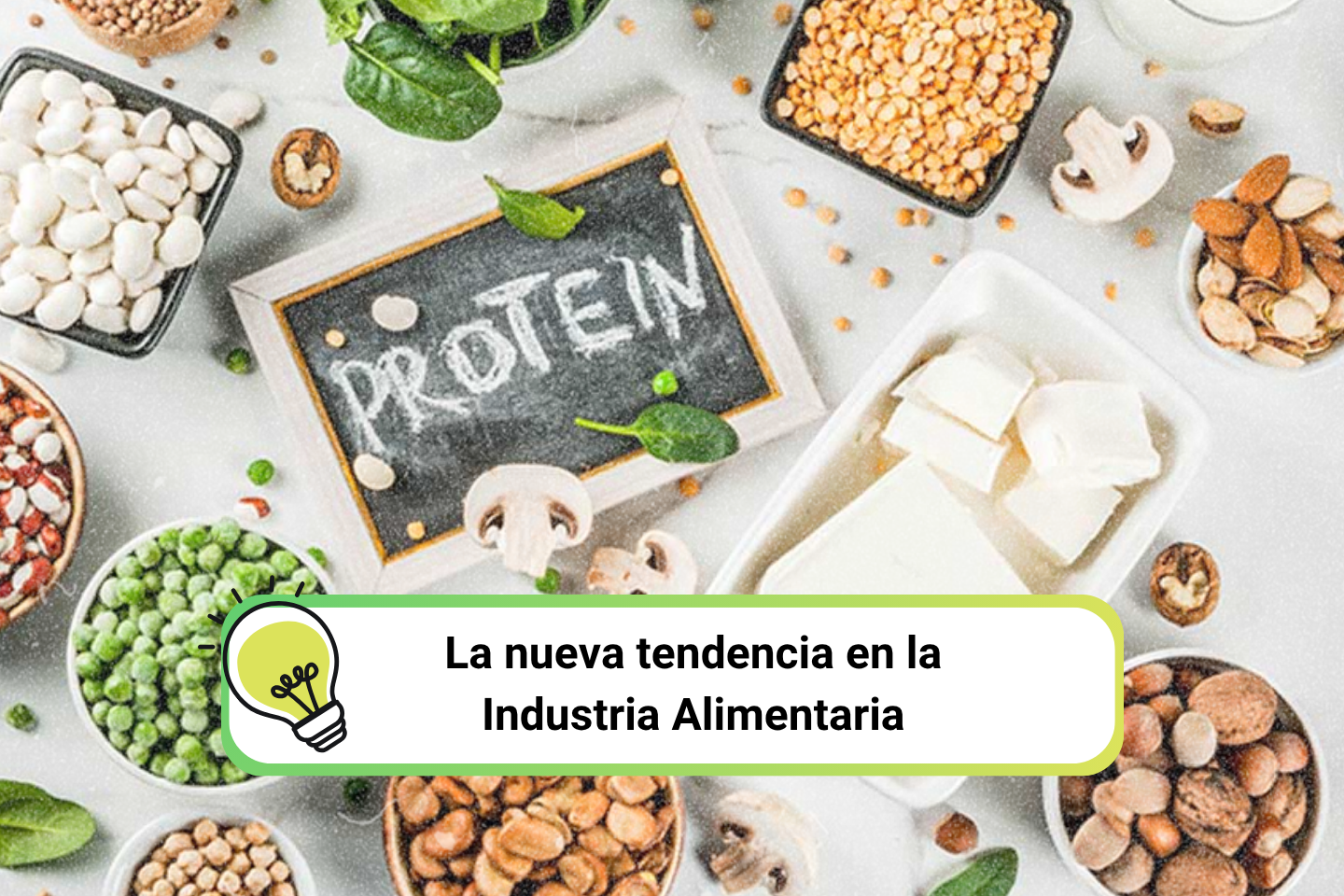 ¿Qué son las proteínas alternativas? - portada