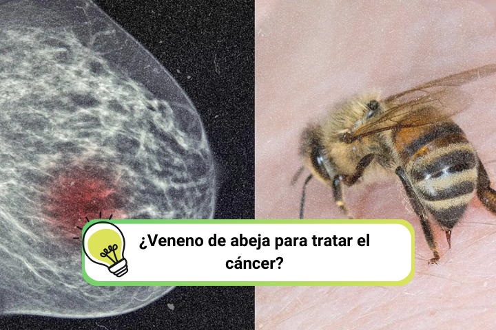 Imagen de Portada Artículos BioLynx