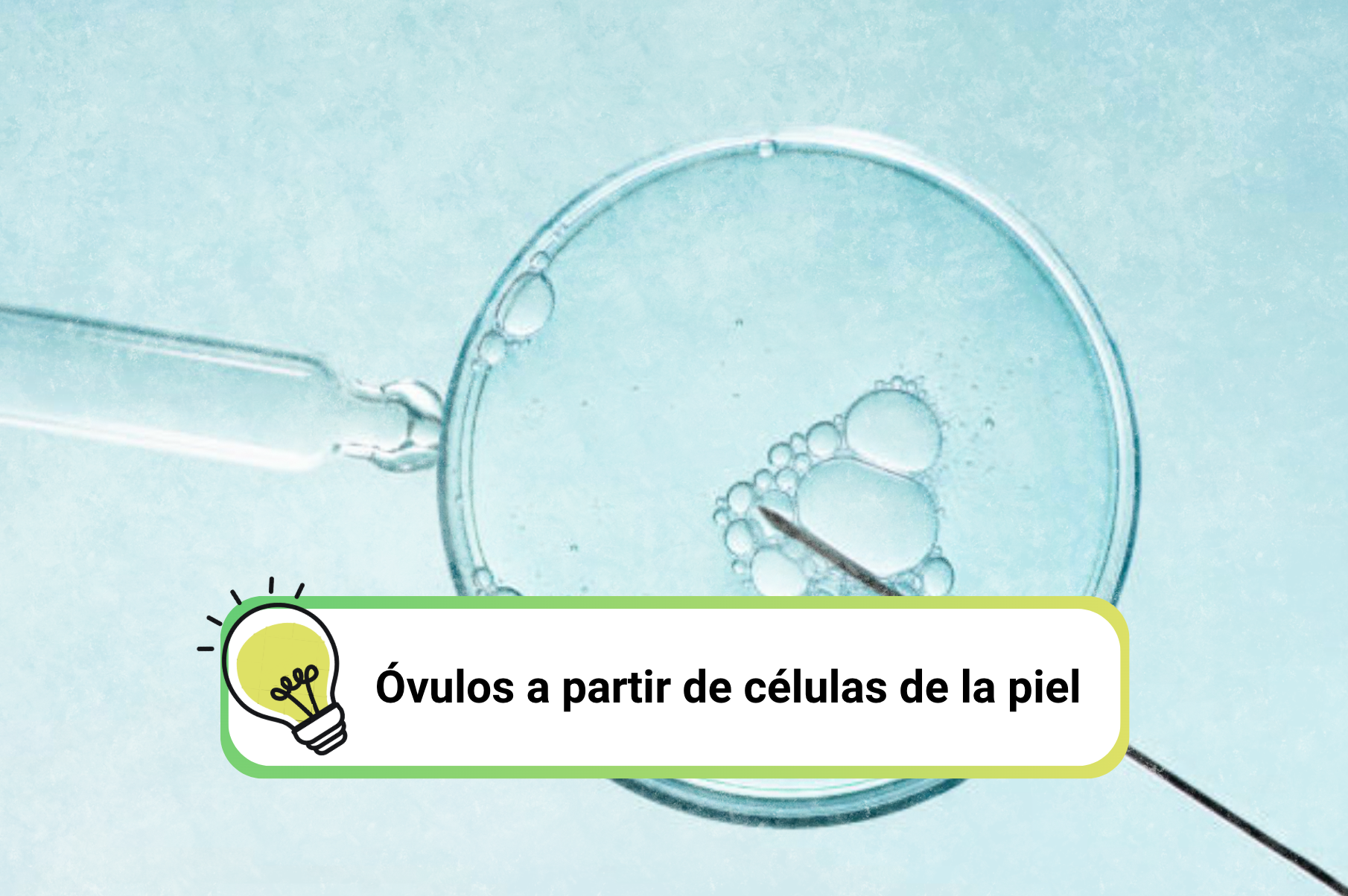 Portada ovocitos a partir de la piel